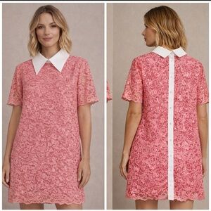 Anthropologie Stella Nova Sequined Lace Shirt Dress in Amazing Pink Medium